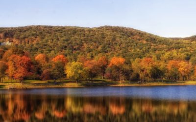 You Have to See the Eureka Springs Foliage this Fall!